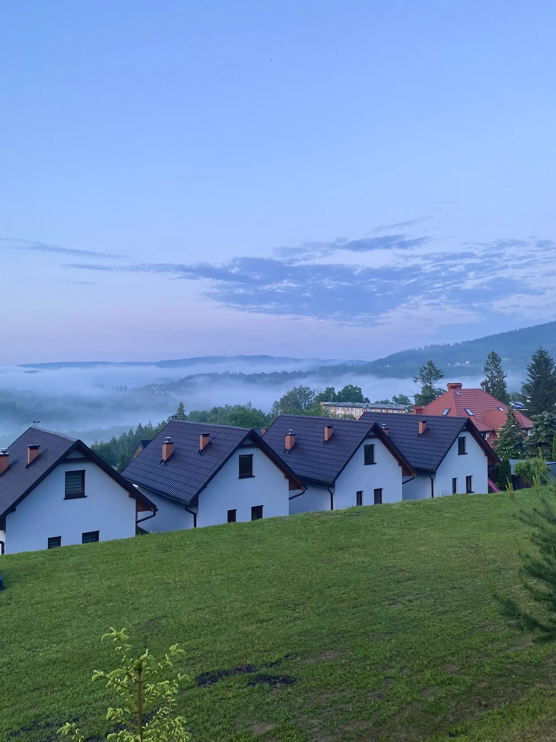 Poranna mgła w dolinie widziana znad domków latem